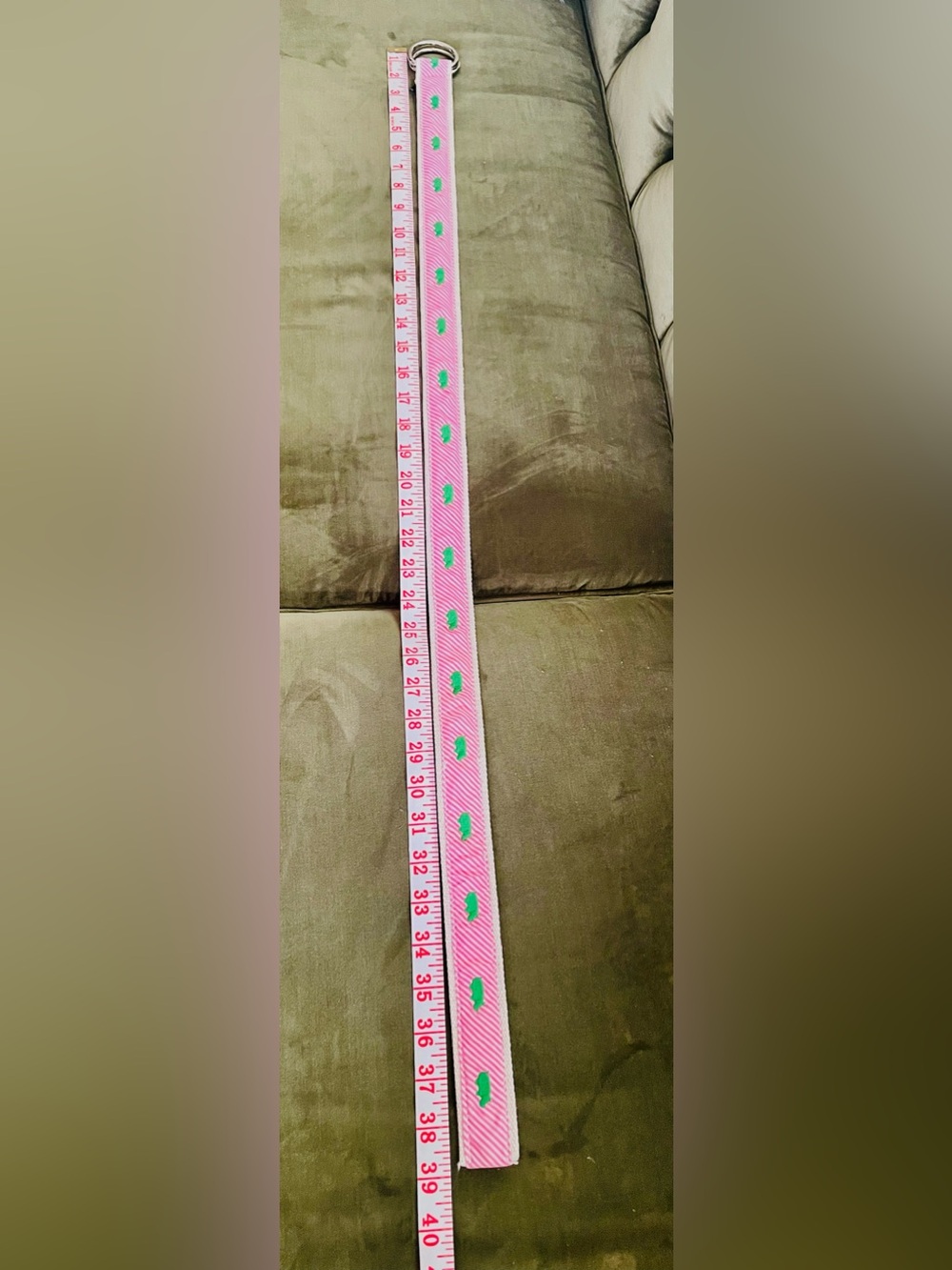 J. Crew Pink Striped Belt with Green Embroidered Hippo and Silver Rings - Picture 9 of 14